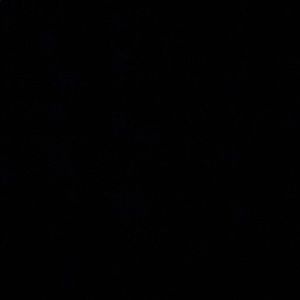 Meet your Posher, Riley